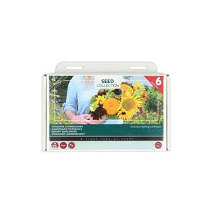 Buzzy Collection Kweekset 6 Stralende Zonnebloemen 1 set