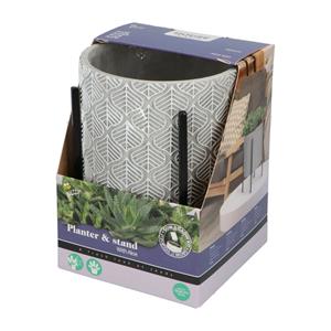 Buzzy House Plants Plantenpot in Standaard met Aloe Vera Zaden