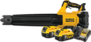 Dewalt 18V XR Axiale 5,0 Ah Accu (2x) Starterspakket