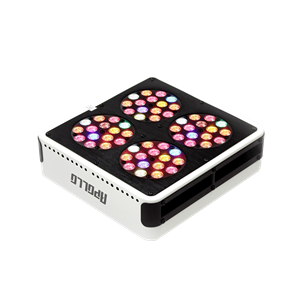 Apollo LED Grow Innovations