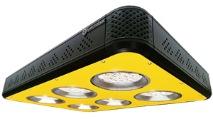 Spectrabox XTR2 LED