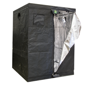 Dr. Green GR150 - 150x150x200cm