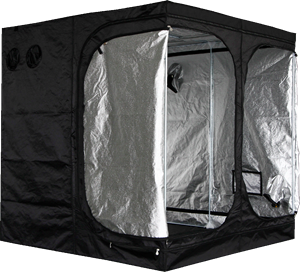 Mammoth Classic+ 200 - 200x200x200cm