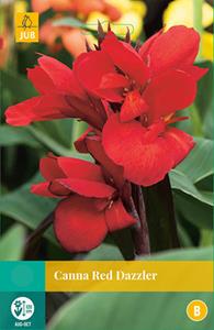 Jub Canna Red Dazzler 1 bol - 