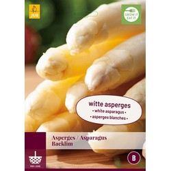Jub Asparagus Backlim - 