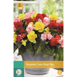 Jub Begonia Non Stop Mix - 