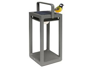 SUNS Mr. Solar Jack S Grey