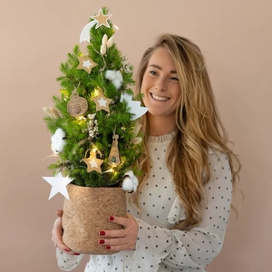 Plantje Kerstboom Winter Wonderland - DIY