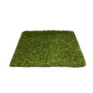 Praxis Exelgreen Kunstgras Hopper 20 Mm - 200x400cm