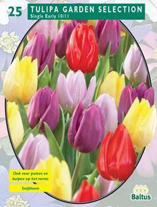 Tuinplant.nl Tulp