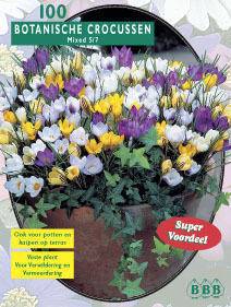 Tuinplant.nl Krokus