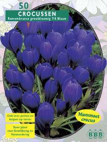 Tuinplant.nl Krokus