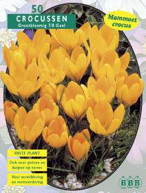 Tuinplant.nl Krokus