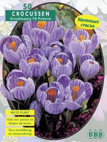 Tuinplant.nl Krokus