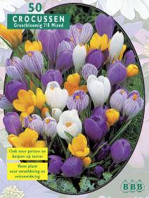 Tuinplant.nl Krokus