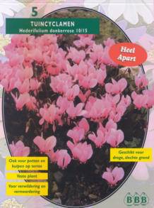 Tuinplant.nl Cyclaam