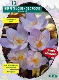 Tuinplant.nl Herfstbloeiende krokus