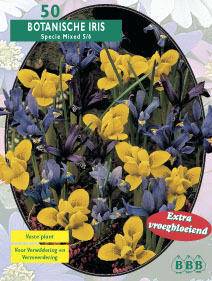 Tuinplant.nl Iris