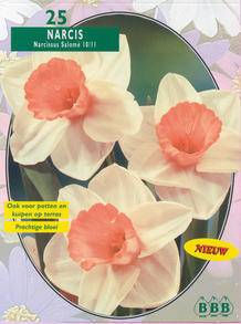 Tuinplant.nl Narcis
