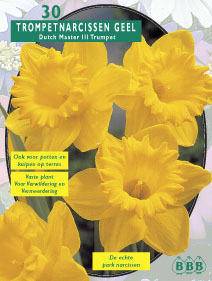 Tuinplant.nl Narcis
