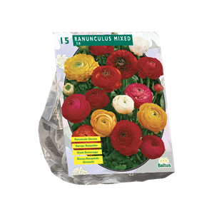 Tuinplant.nl Ranonkels