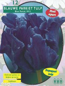 Tuinplant.nl Tulp