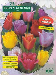 Tuinplant.nl Tulp