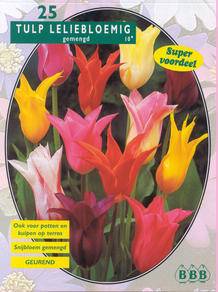 Tuinplant.nl Tulp