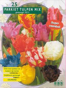 Tuinplant.nl Tulp