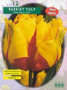 Tuinplant.nl Tulp