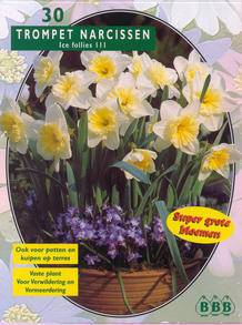 Tuinplant.nl Narcis