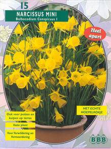 Tuinplant.nl Narcis