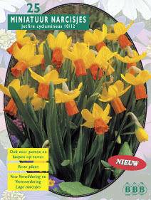 Tuinplant.nl Narcis