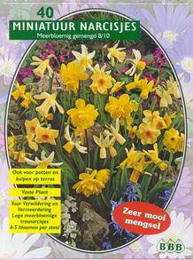 Tuinplant.nl Narcis