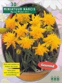 Tuinplant.nl Narcis