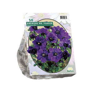 Tuinplant.nl Anemone