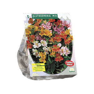 Tuinplant.nl Incalelie