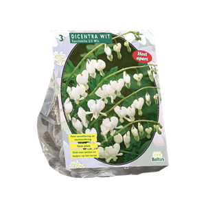 Tuinplant.nl Gebroken hartje