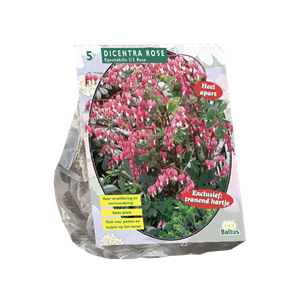 Tuinplant.nl Gebroken hartje