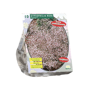 Tuinplant.nl Gypsophilia