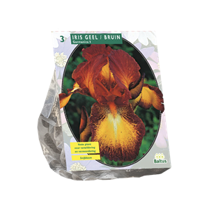 Tuinplant.nl Iris