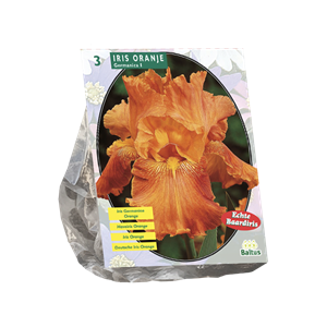 Tuinplant.nl Iris