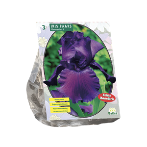Tuinplant.nl Iris