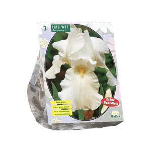 Tuinplant.nl Iris