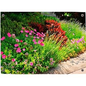 Merkloos Tuinposter Tuin 2 - Pillow Buddies