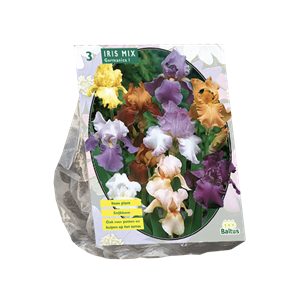 Tuinplant.nl Iris