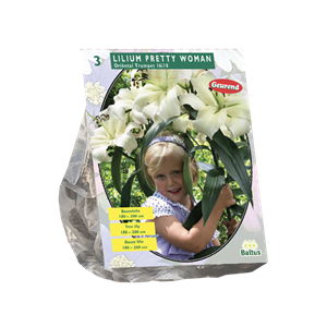 Tuinplant.nl Lelie