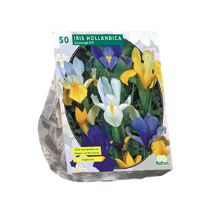 Tuinplant.nl Iris