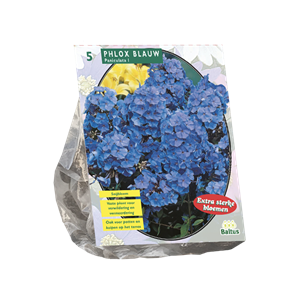 Tuinplant.nl Vlambloem