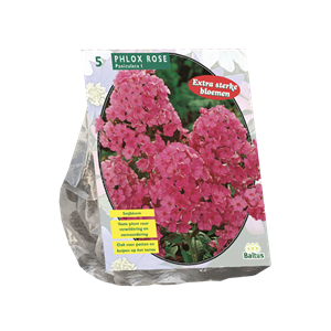 Tuinplant.nl Vlambloem